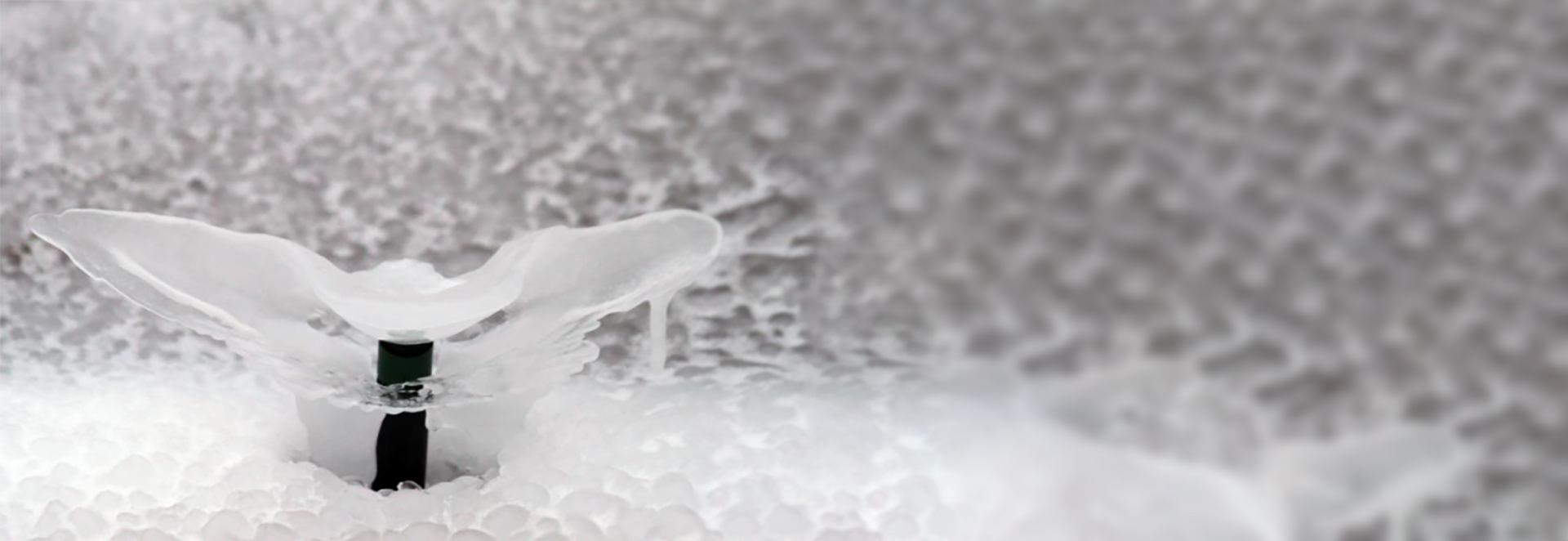 Sprinkler Winterization Service | Loudoun County, VA